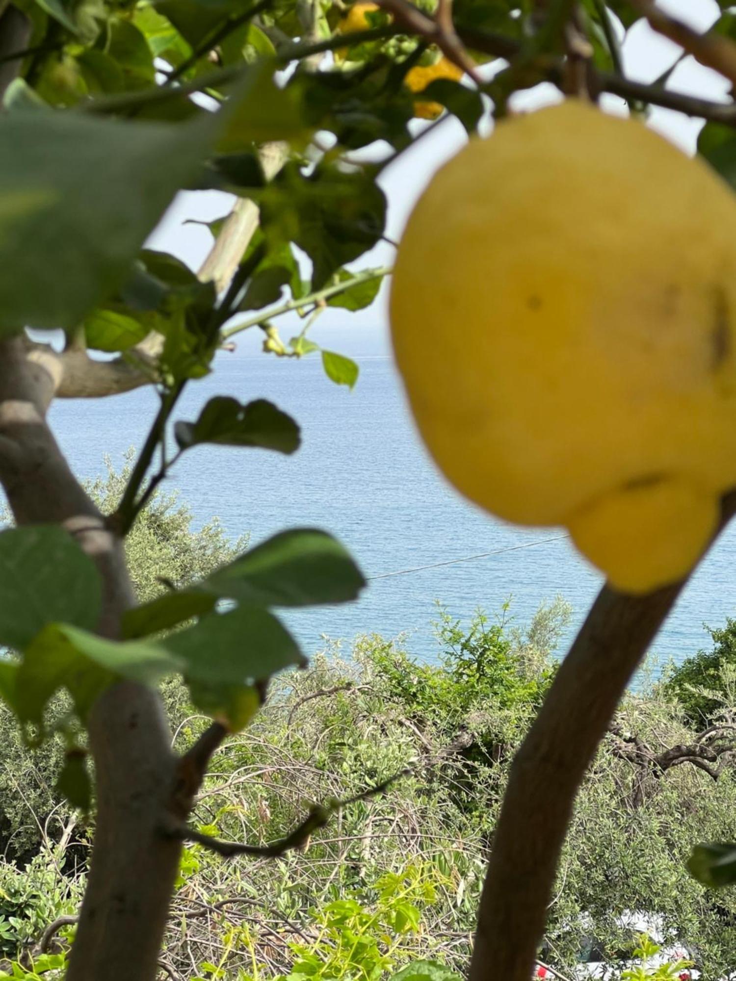 切法卢La Casa Dei Ciocio别墅 外观 照片